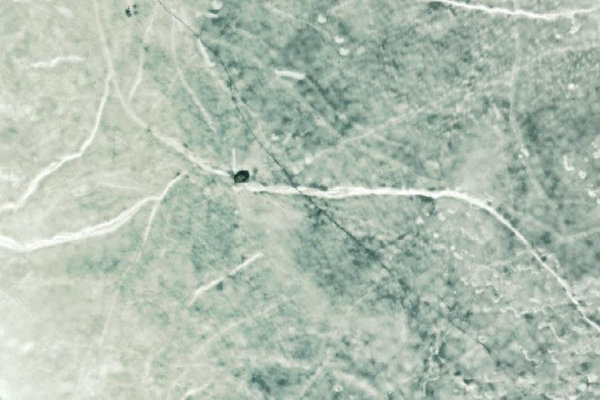 Immagine satellitare dei dintorni di Grycken