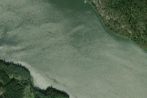 Immagine satellitare dei dintorni di Ärlången