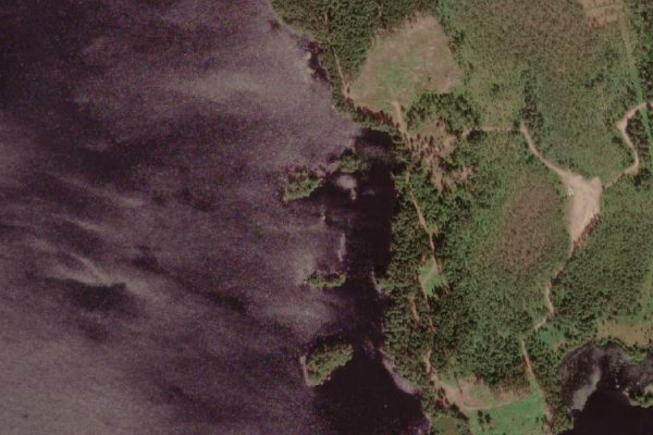 Immagine satellitare dei dintorni di Rusken