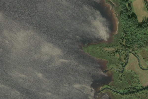Immagine satellitare dei dintorni di Kalvsjön (Hallands län)