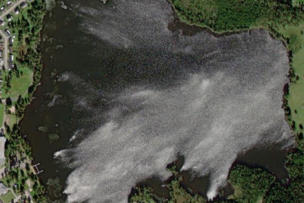 Immagine satellitare dei dintorni di Lenhovdasjön