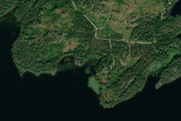Immagine satellitare dei dintorni di Ruotsalainen