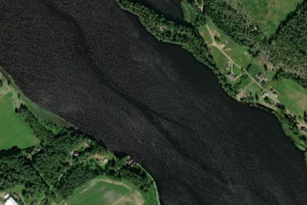 Immagine satellitare dei dintorni di Suolijärvi