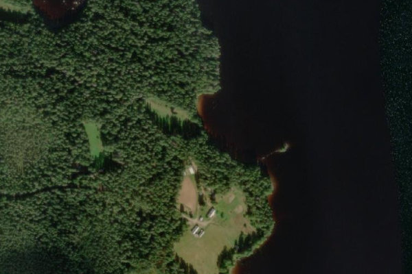 Immagine satellitare dei dintorni di Liesjärvi