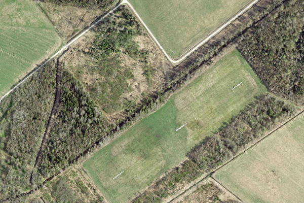 Immagine satellitare dei dintorni di Esna jõgi