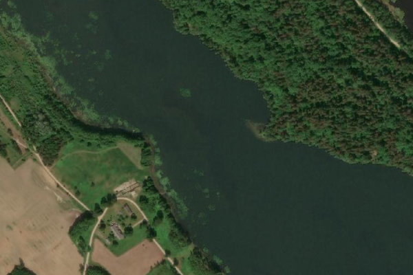 Immagine satellitare dei dintorni di Riebiņu ezers