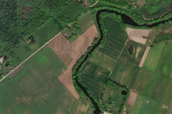 Immagine satellitare dei dintorni di Šešupė