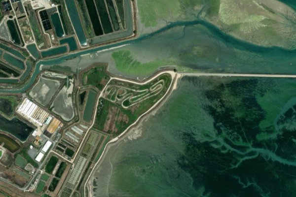Pointe de l'Îlot çevresinin uydu görüntüsü