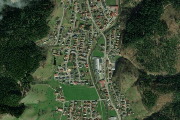 Wolf (Oberwolfach) çevresinin uydu görüntüsü