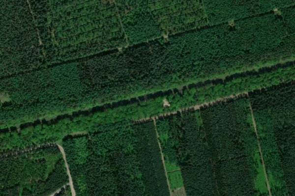 Ems-Vechte-Kanal çevresinin uydu görüntüsü