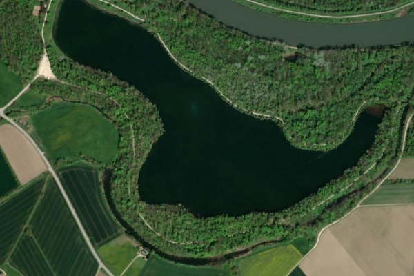Auwaldsee (Lauingen) çevresinin uydu görüntüsü
