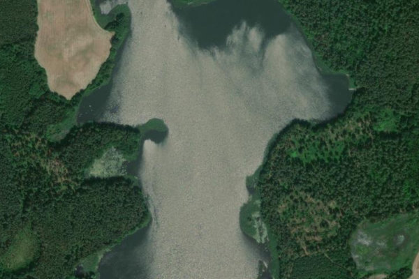 Trebehnsee çevresinin uydu görüntüsü
