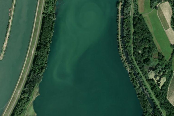Kernsee (Iffezheim) çevresinin uydu görüntüsü