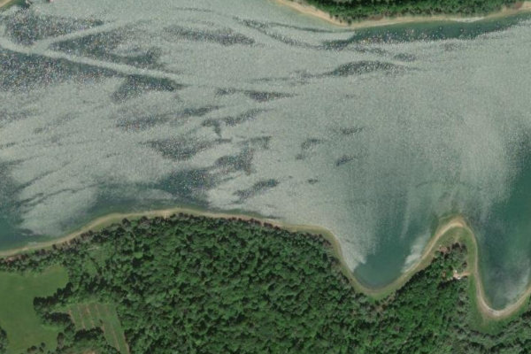 Lac de la Liez çevresinin uydu görüntüsü