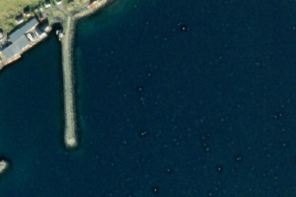 Skarsvåg çevresinin uydu görüntüsü
