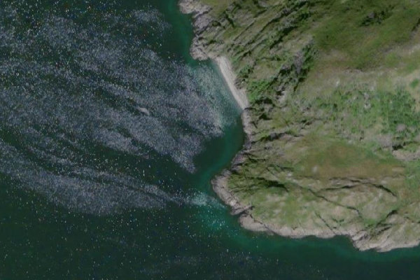 Imagem de satélite da zona de Moan · costa