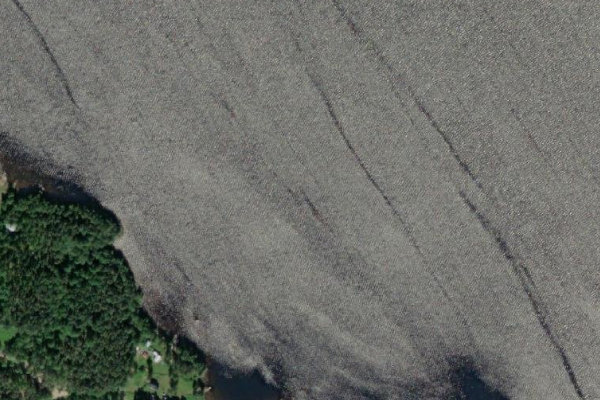 Imagem de satélite da zona de Borgsjön (Ånge)