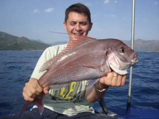 Trança